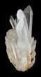 Clear Quartz Crystal Cluster - Madagascar #32299-2